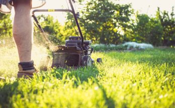 Entretien de jardin en été