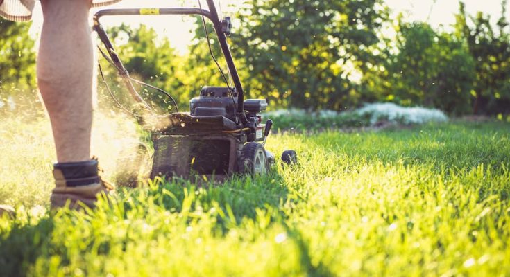 Entretien de jardin en été