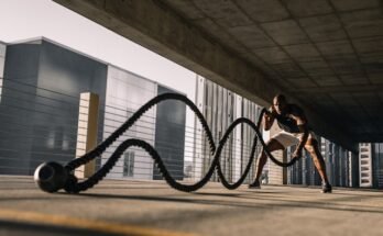 exercices de musculation