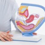 Équilibre hormonal