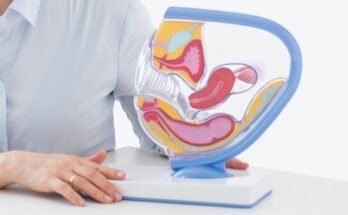 Équilibre hormonal