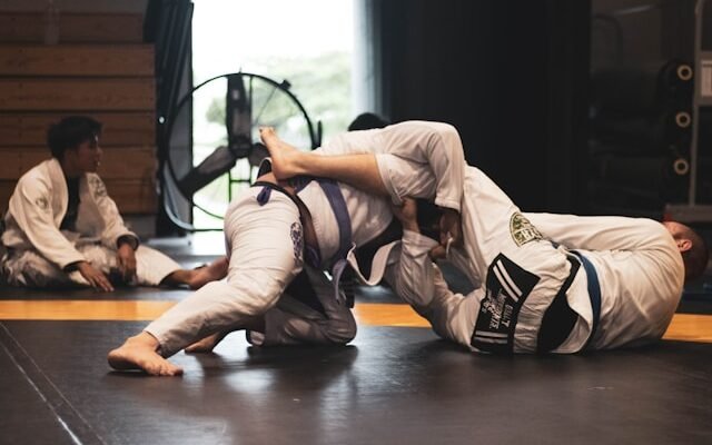 Jiu-Jitsu brésilien
