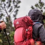 Randonneurs avec sacs à dos et bâtons de marche en forêt