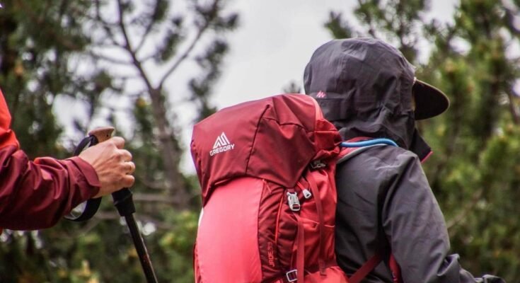 Randonneurs avec sacs à dos et bâtons de marche en forêt