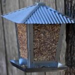 Mangeoire à oiseaux en métal suspendue à un arbre