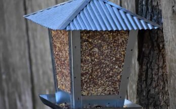 Mangeoire à oiseaux en métal suspendue à un arbre