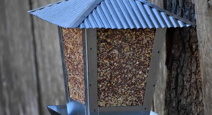 Mangeoire à oiseaux en métal suspendue à un arbre